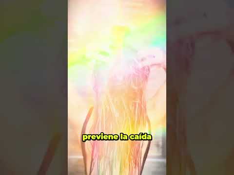 Shampoo Acción Capilar Anti-Caída